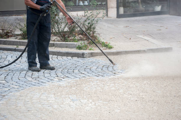 Best Pre-Holiday Cleaning  in Ephrata, PA